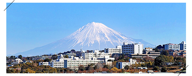 ～静岡で学び、世界で働く～