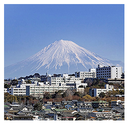 ～静岡で学び、世界で働く～